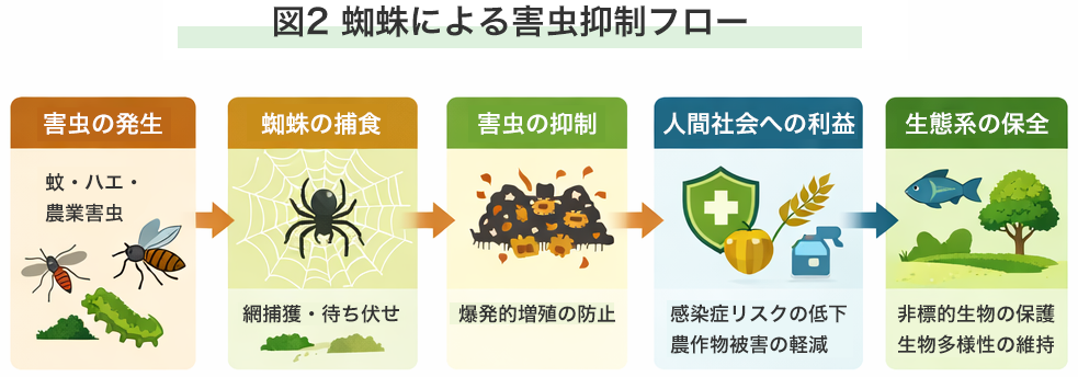 図2 蜘蛛による害虫抑制フロー